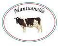FORMAGGIO MANTUANELLA CONF DA 1 Kg circa