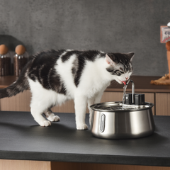 The KittySpout™ - Wireless Fountain 2.0 2-month Kit
