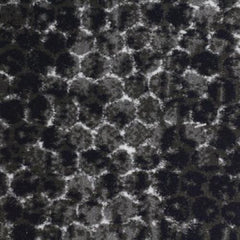 Nostalgia in Tarnished Carpet