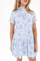 The Nicole Ruffle Button Up Dress - Blue