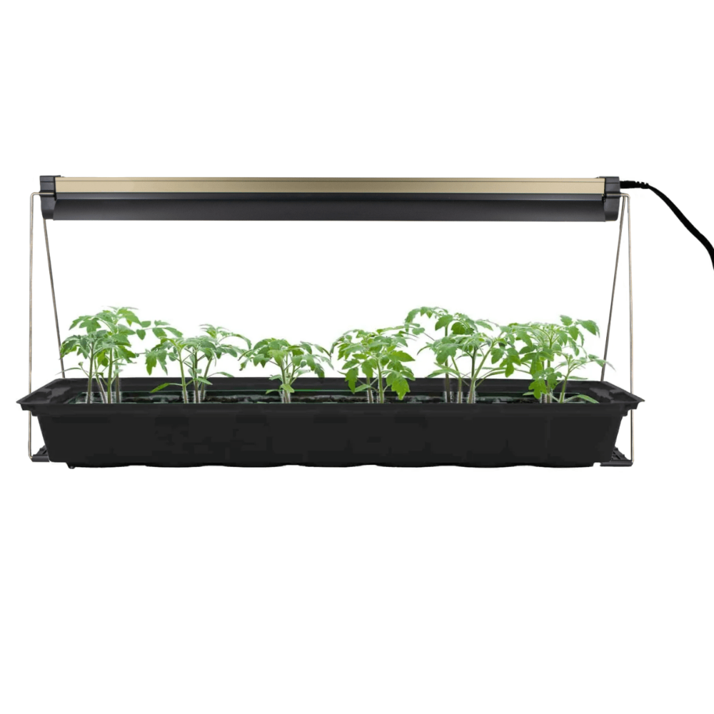 Ferry - Morse Indoor Grow Light Fixture with T5 Bulb 24 x 11in. - Ferry - Morse
